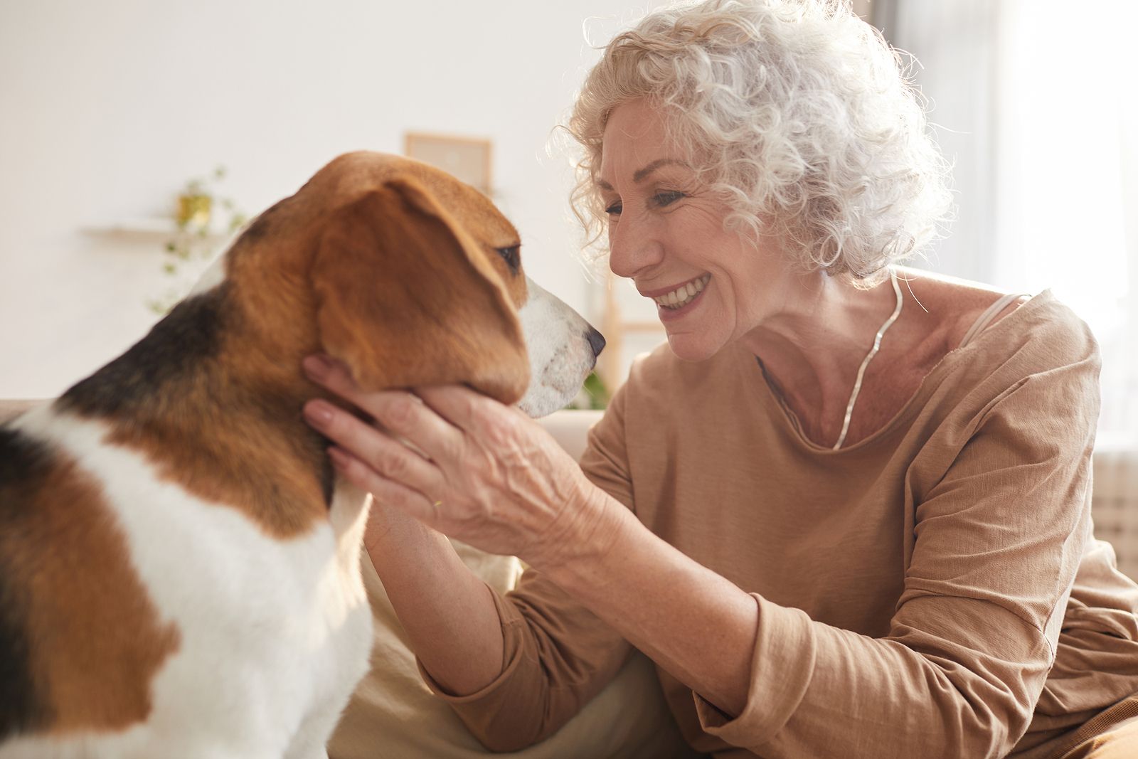 Hablar el mismo idioma que nuestro perro ya es posible