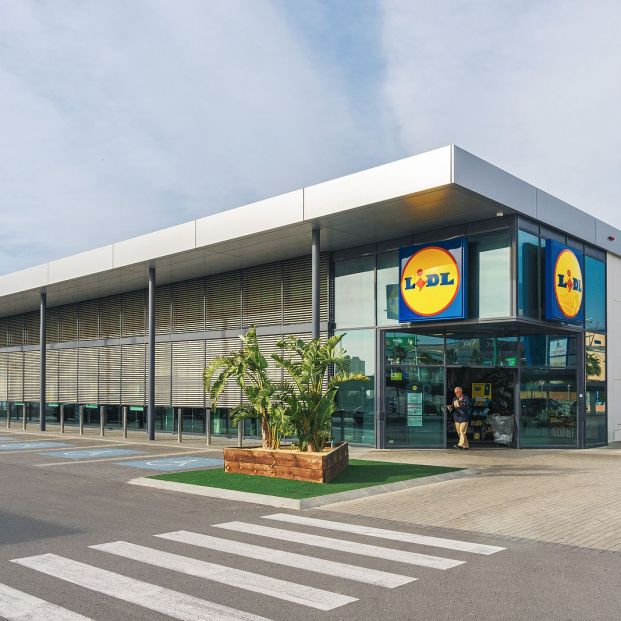 TOP 10 productos de LIDL de 1 EURO o MENOS 