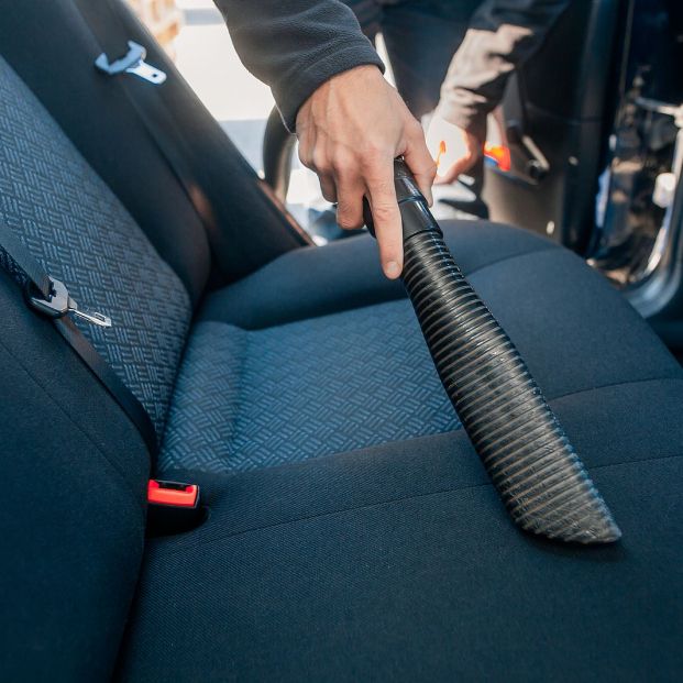 Cómo eliminar el olor a perro de nuestro coche