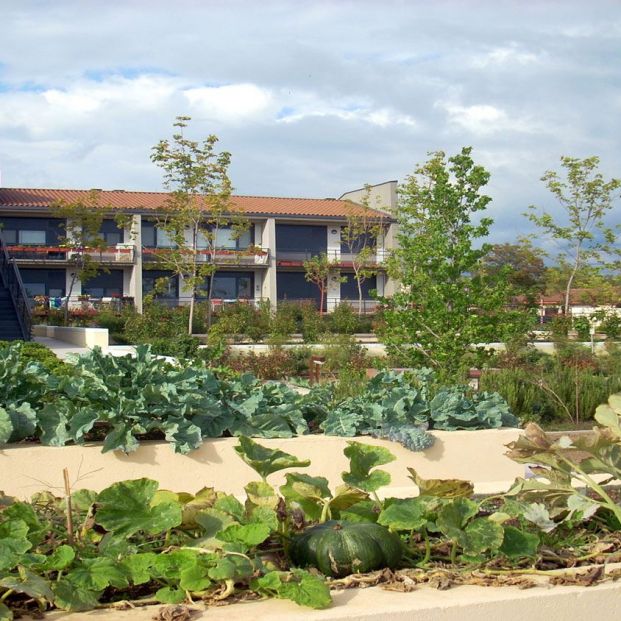 Huerta de Trabensol.