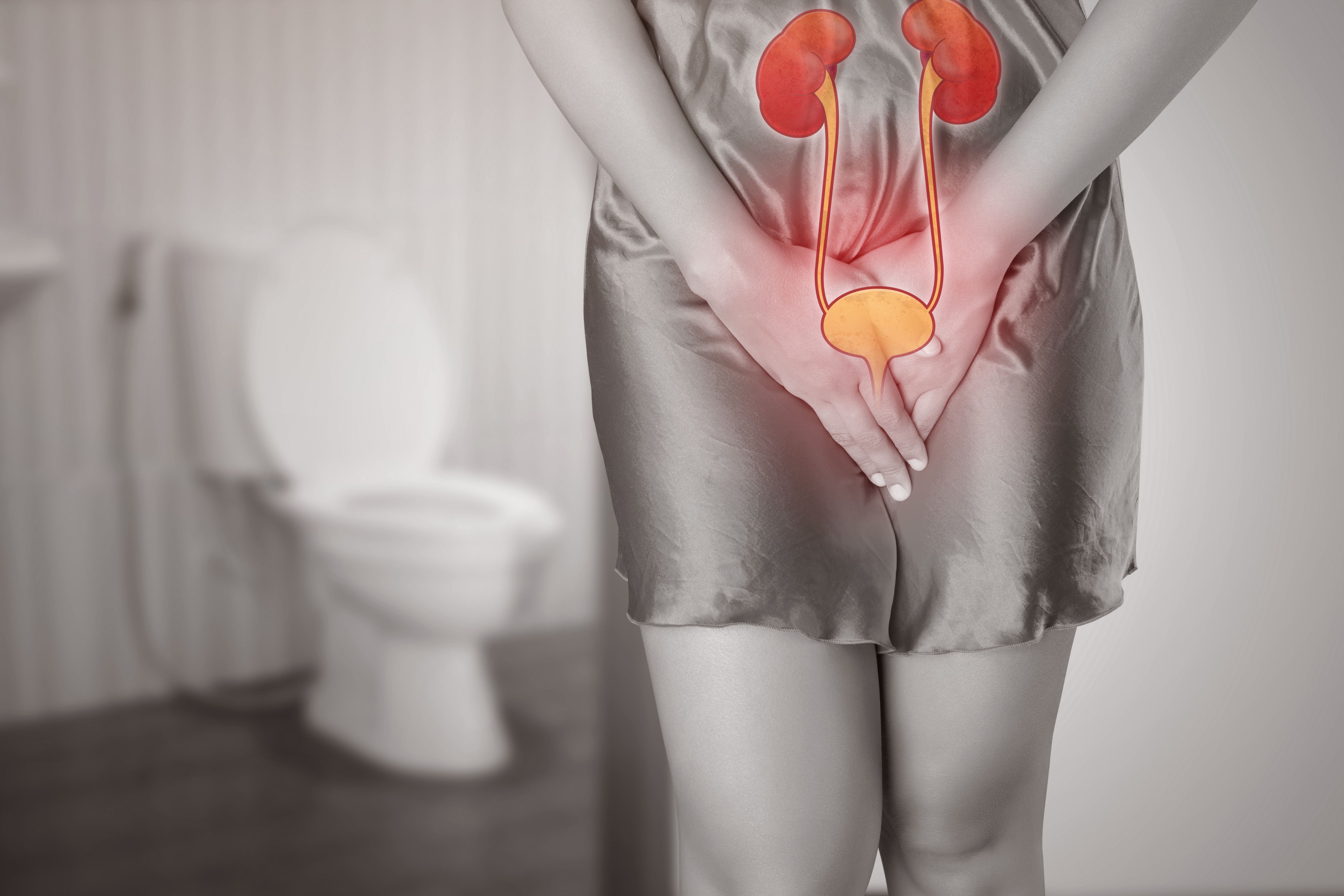 Diagnostico por imagen en urología Diagnostico por imagen en urología