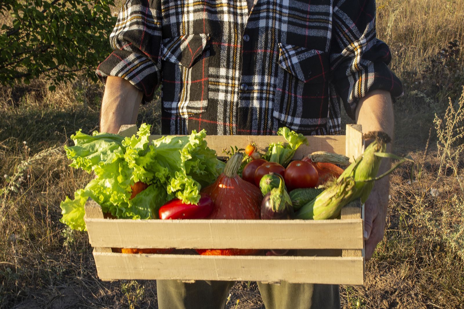 Hortalizas y vegetales con los que corres mayor riesgo de infección por Yersinia