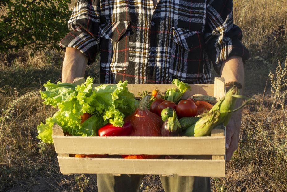 Hortalizas y vegetales con los que corres mayor riesgo de infección por Yersinia