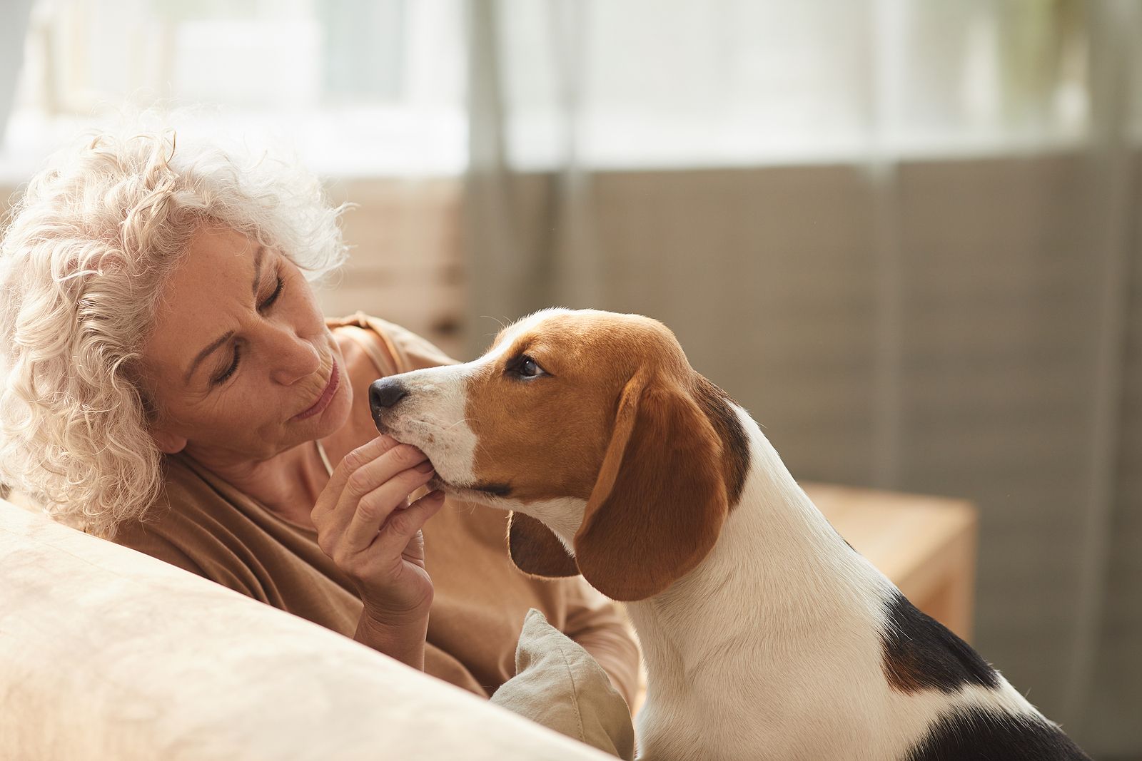 Esta sorprendente habilidad de los perros inspira un dispositivo para la detección precoz del cáncer