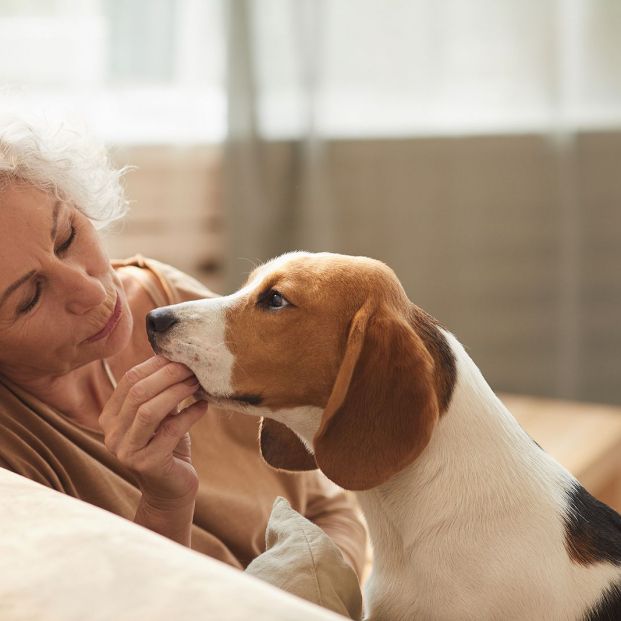 Esta sorprendente habilidad de los perros inspira un dispositivo para la detección precoz del cáncer