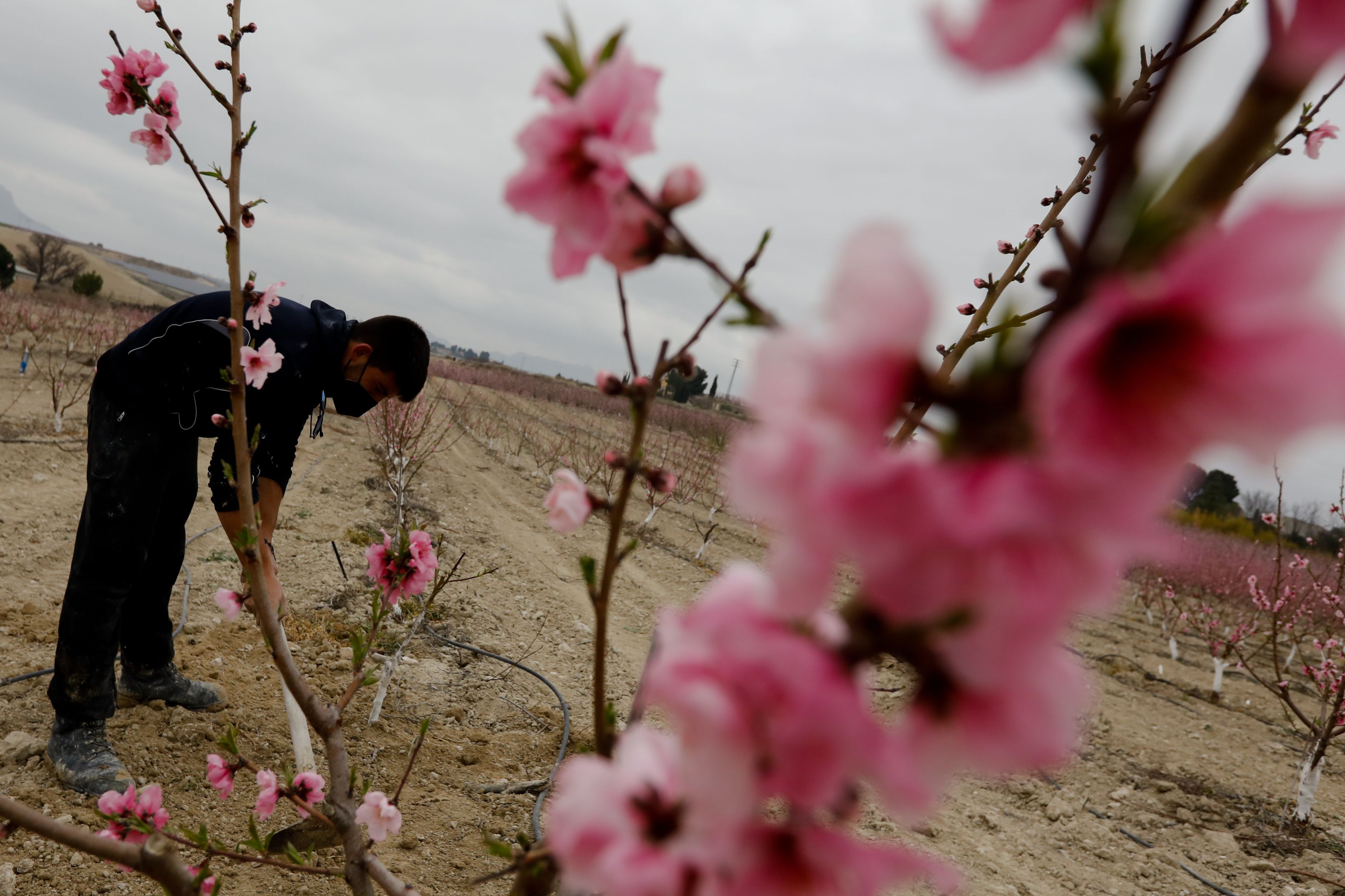 La primavera meteorológica ya ha comenzado y será más seca de lo normal