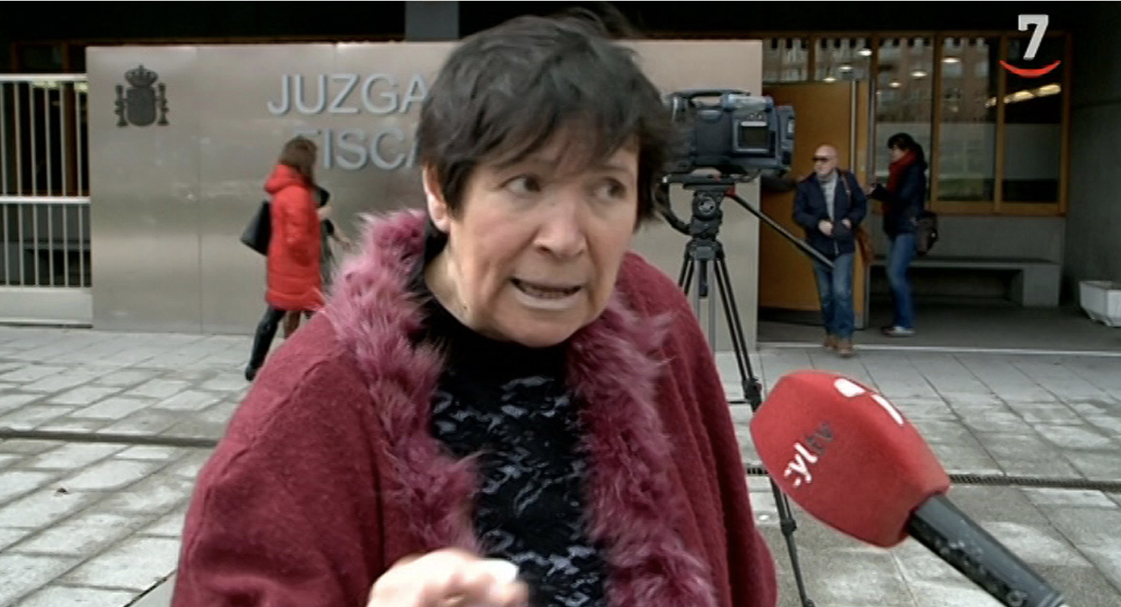 El Supremo ratifica la retirada de la custodia a la madre que tuvo mellizos con 64 años. Foto: Captura de Castilla y León TV