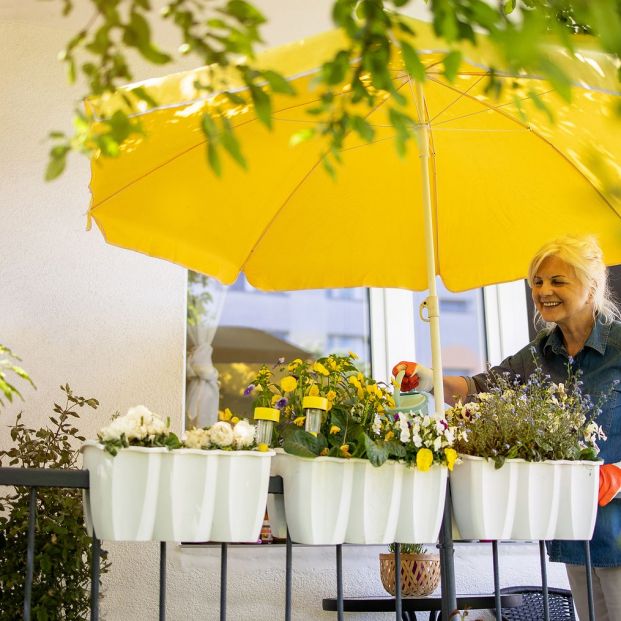 ¿Ganas de primavera? Prepárate con estos productos para exterior de Lidl ¿Ganas de primavera? Prepárate con estos productos para exterior de Lidl
