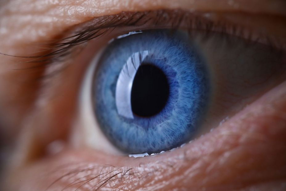 Los consejos del oftalmólogo Luis Fernández-Vega para un envejecimiento saludable de la vista Bigstock