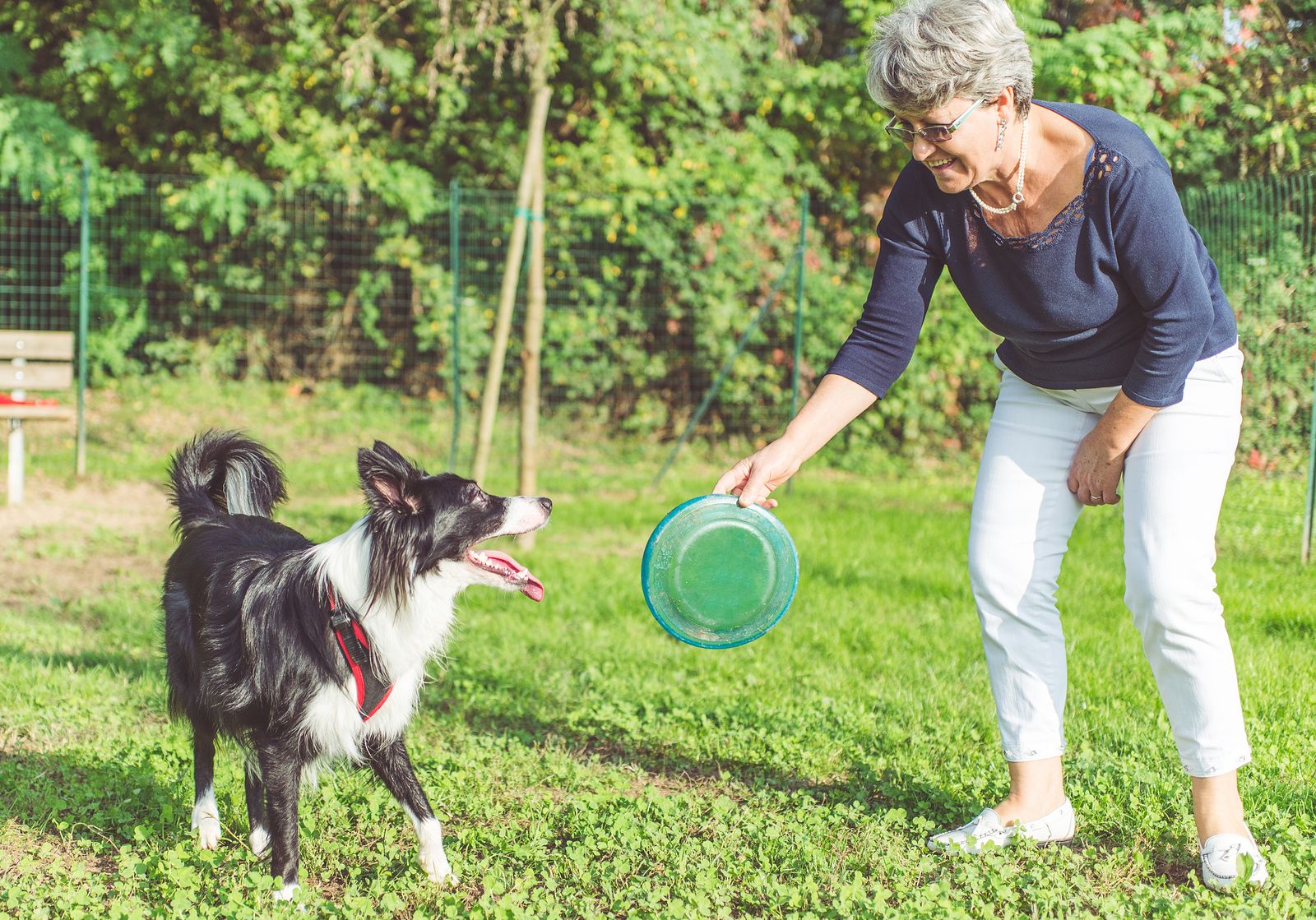 Si tienes perro, lánzale un disco volador (frisbee)