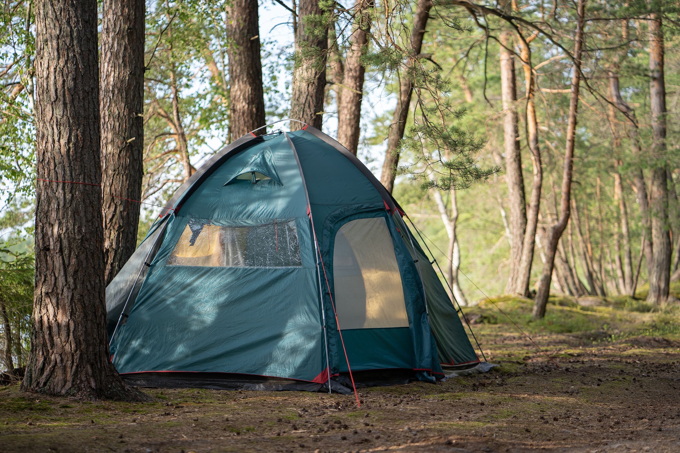 Camping barato y con todo lo necesario, gracias a estos productos de Lidl