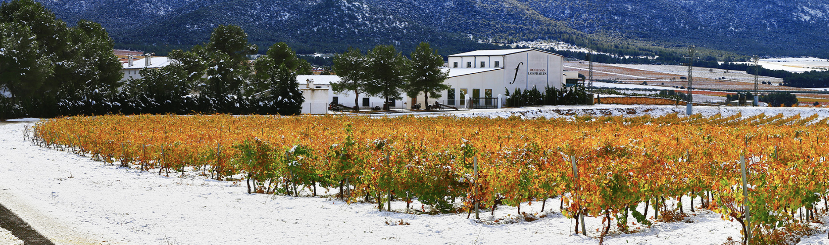 Bodega Casa Los Frailes