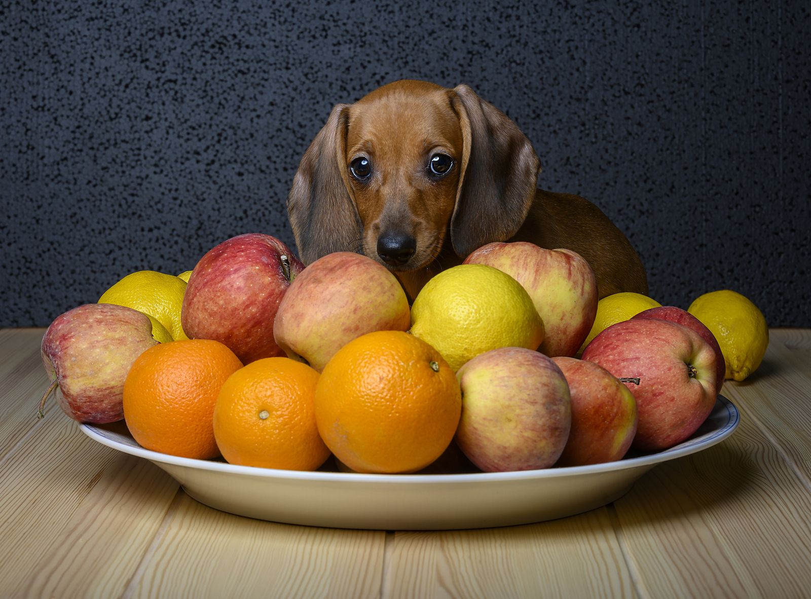 Las 9 frutas que puede comer tu perro y que le encantarán