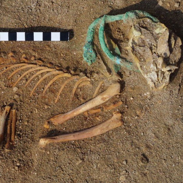 Encuentran en Egipto el cementerio de mascotas más antiguo del mundo