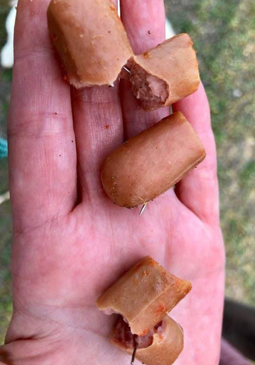 Así son los clavos encontrados metidos dentro de salchichas.