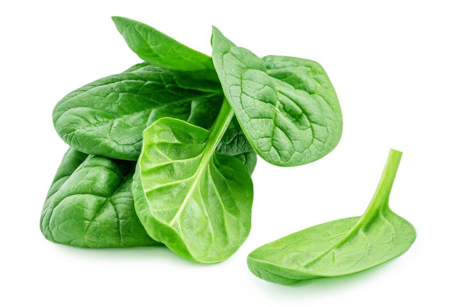 bigstock Spinach Leaves Isolated On Wh 371347276