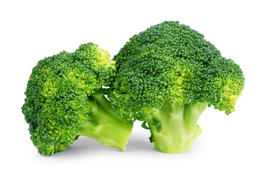 bigstock Healthy Brocoli Isolated On Wh 331572862