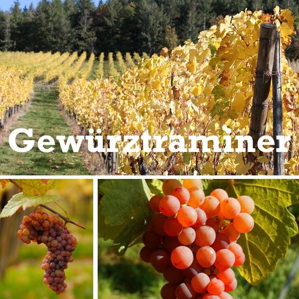 Gewürztraminer