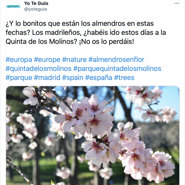 Tuit almendros en flor en Quinta de los Molinos (Madrid)