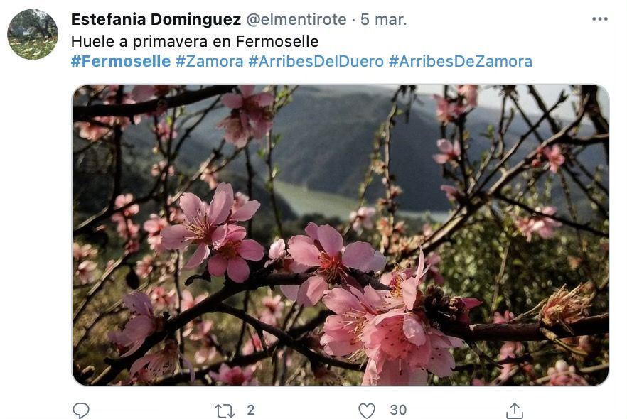 Tuit de los almendros en flor en Fermoselle