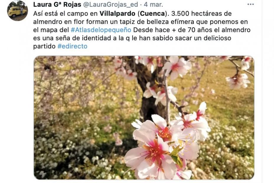 Tuit de los almendros en flor en Villalpardo (Cuenca)