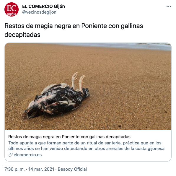 Gallinas decapitadas Gallinas decapitadas