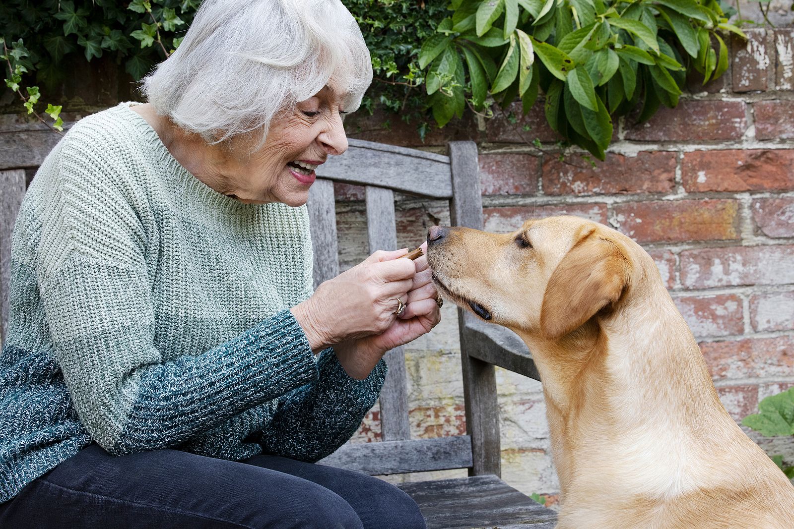 Un estudio revela que es habitual que los dueños contagien de Covid-19 a sus mascotas (Foto Bigstock)