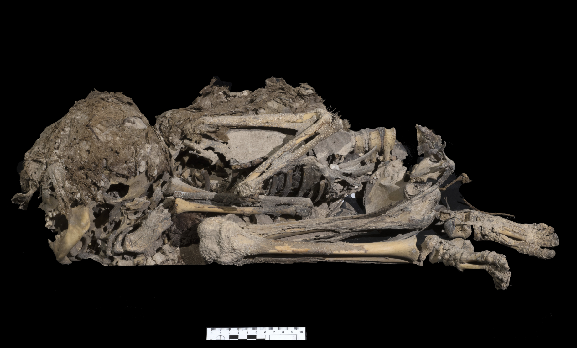  Restos momificados de forma natural de un pequeño en Israel. Foto: Europa Press