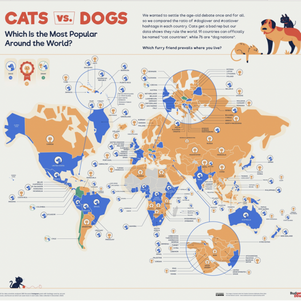 Mapa de los países que prefieren los perros (azul) y los gatos (naranja). Budget Direct