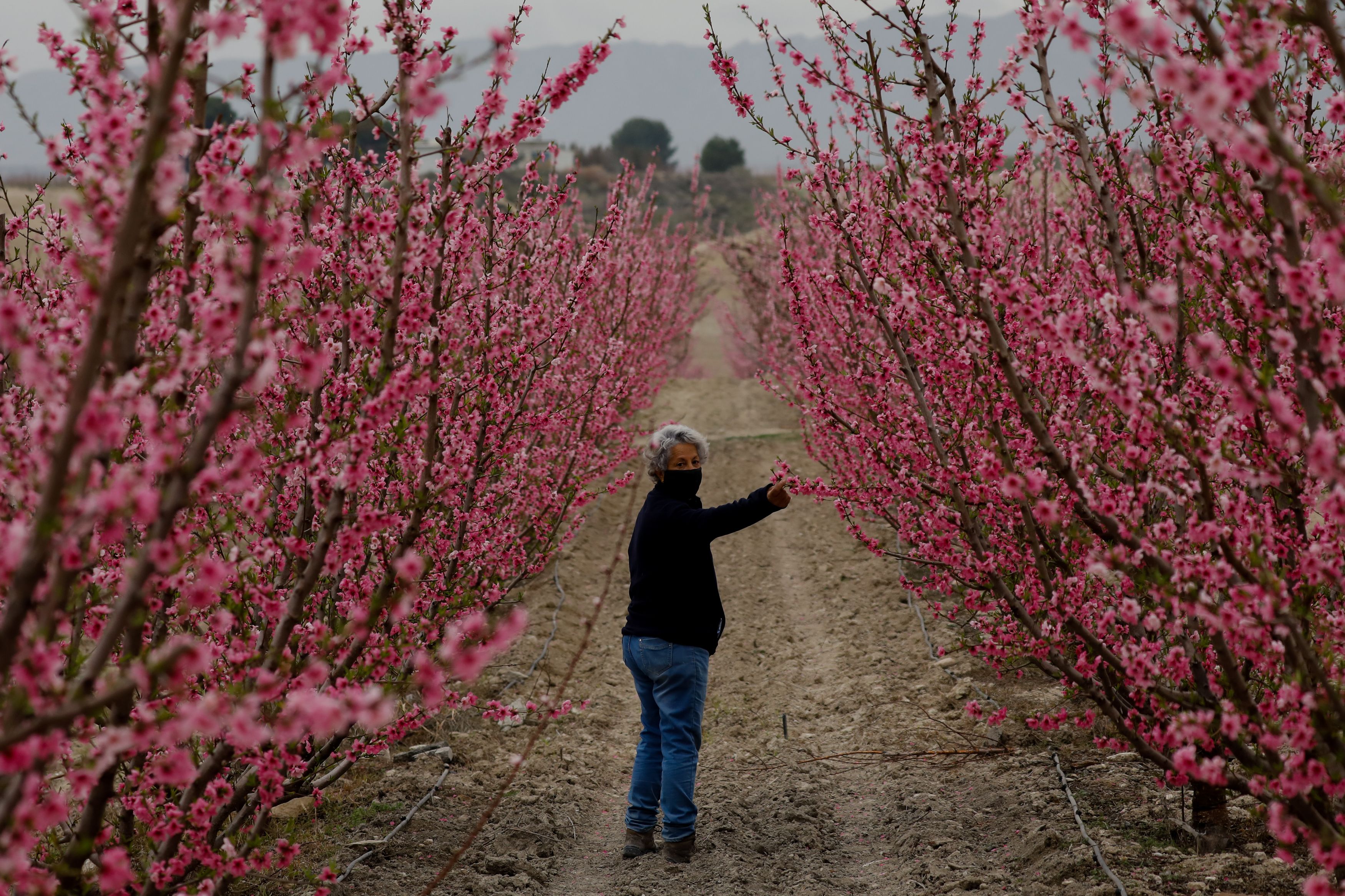 La primavera arranca este sábado a las 10:37 y tendrá una duración de 92 días y 18 horas