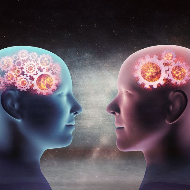 El cerebro de los hombres y las mujeres son diferentes Foto: bigstock