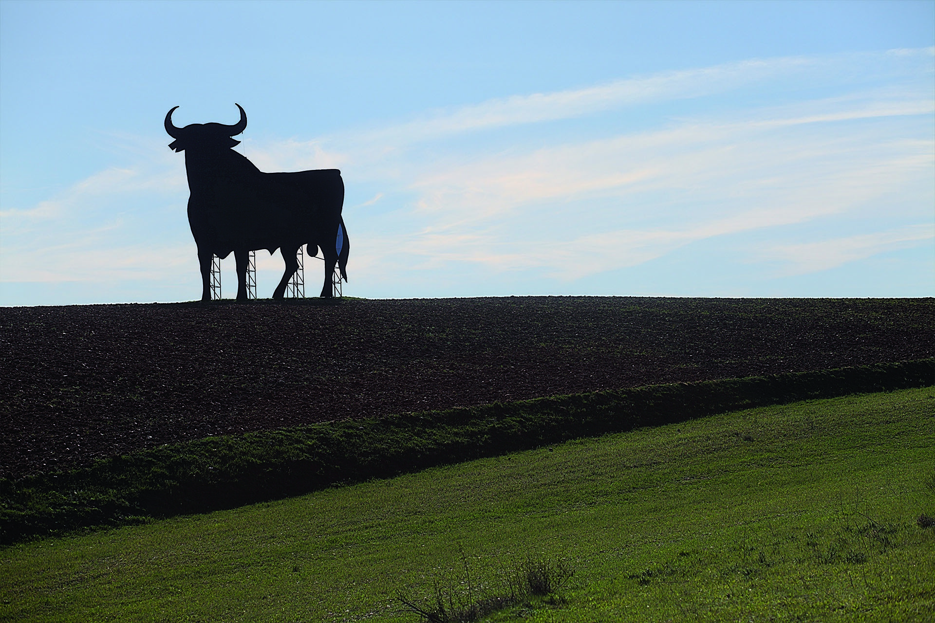 El Toro de Osborne cumple 65 años. Foto: Europa Press