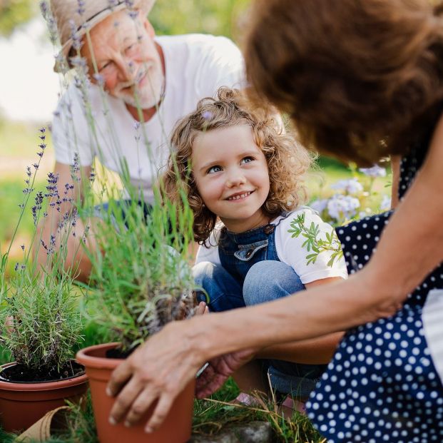 Atención abuelos  artículos de Lidl para que vuestros nietos se diviertan al aire libre (Foto Bigstock) 2