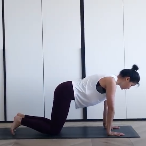 Pantallazo del Video Hatha Yoga para principiantes de Xuan Lan 