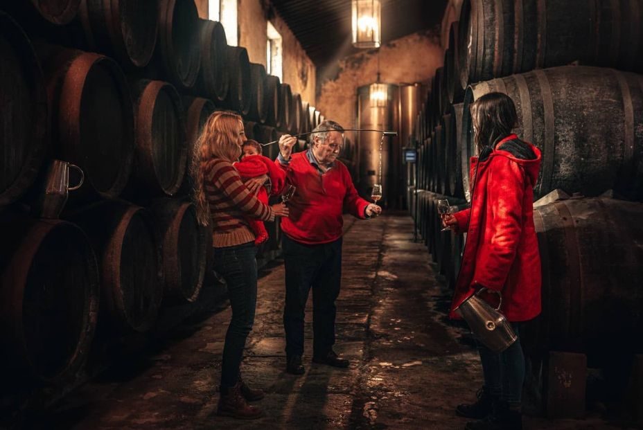 La tierra, la mar y el vino en una copa de fino