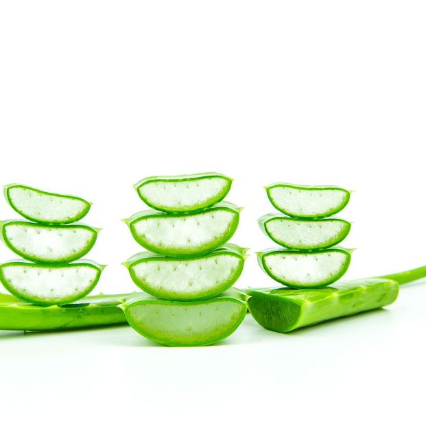 Si tienes caspa es que no conoces estos remedios naturales para evitarla Si tienes caspa es que no conoces estos remedios naturales para evitarla