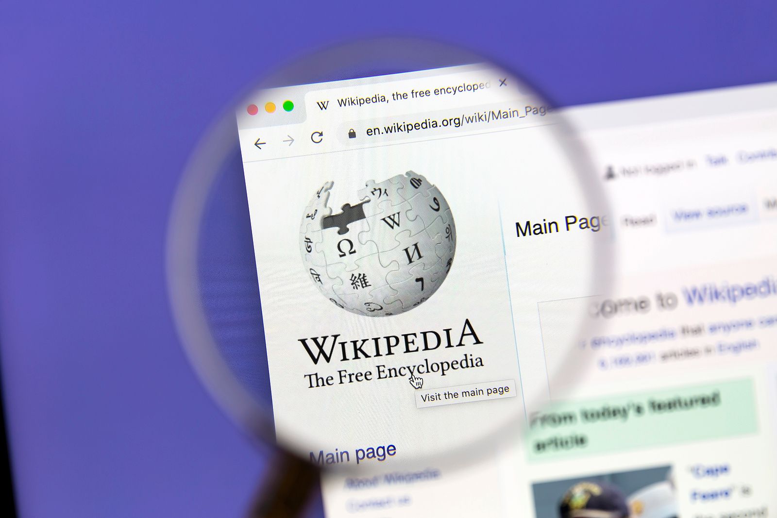 Wikipedia Enterprise: la nueva versión de pago para empresas Foto: bigstock