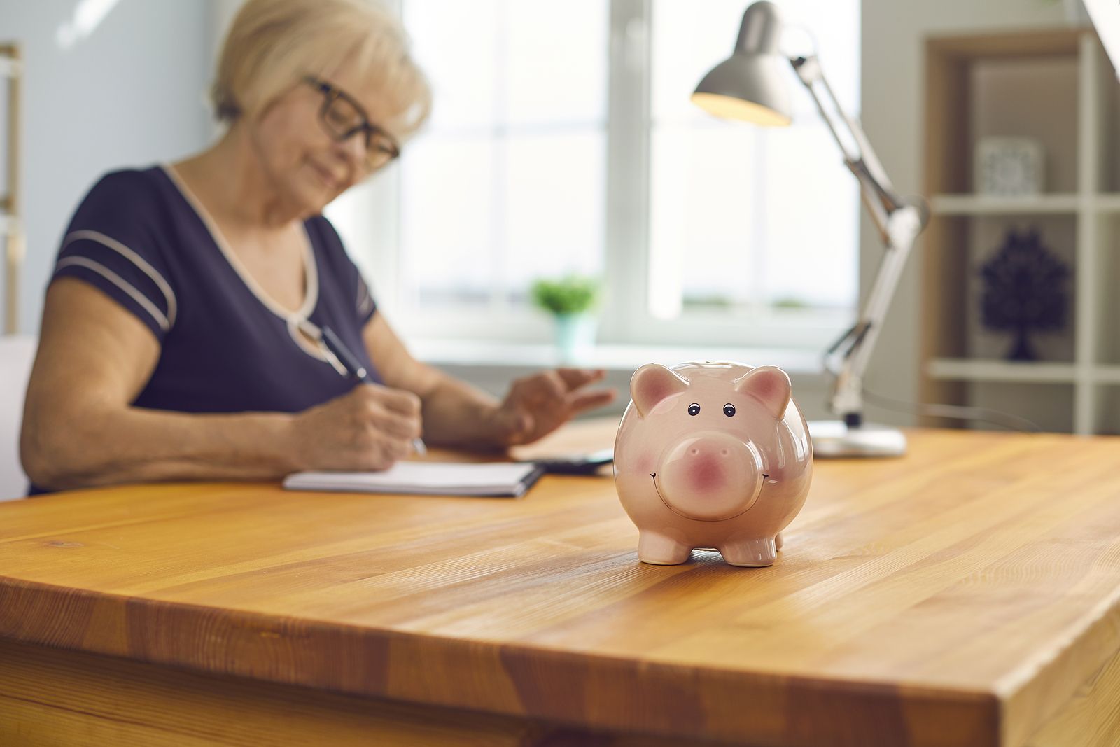 Diferencias entre un Plan de Pensiones Garantizado y un Plan de Previsión Asegurado