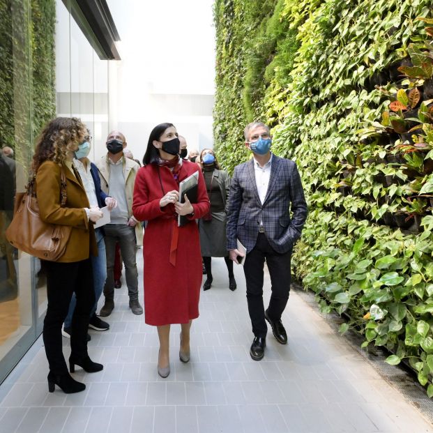 Santander estrena el jardín vertical interior más grande de Europa Foto:EuropaPress
