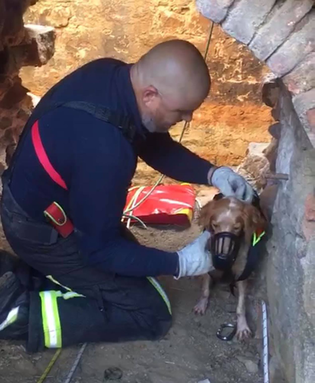 Descubren una mina abandonada donde se lanzaban perros de caza para que murieran