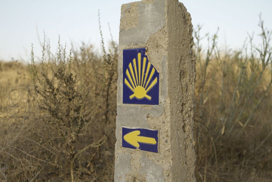 bigstock Sign Of Camino De Santigo Via 336823702