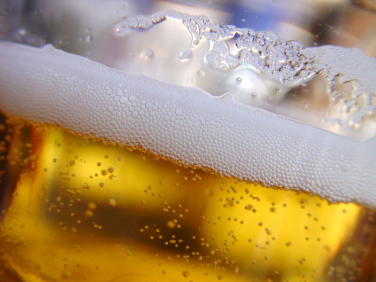 6 usos de la cerveza en el hogar que desconocías. Cerveza Foto: bigstock