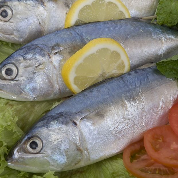 Pescado Fresco (bigstock)