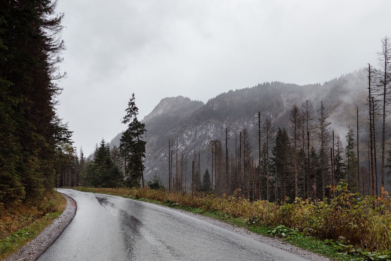 Dónde llueve o hace más calor en España (bigstock)