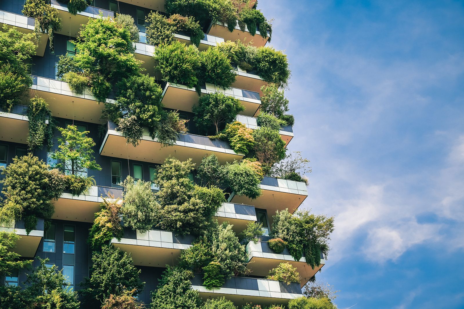 Se pueden colgar plantas en la barandilla del balcón (Foto Bigstock)