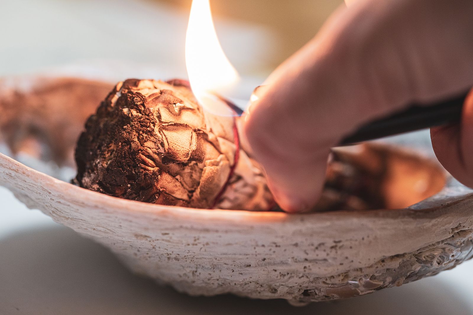 Aprende a purificar tu casa con la planta de salvia - Mejor con Salud