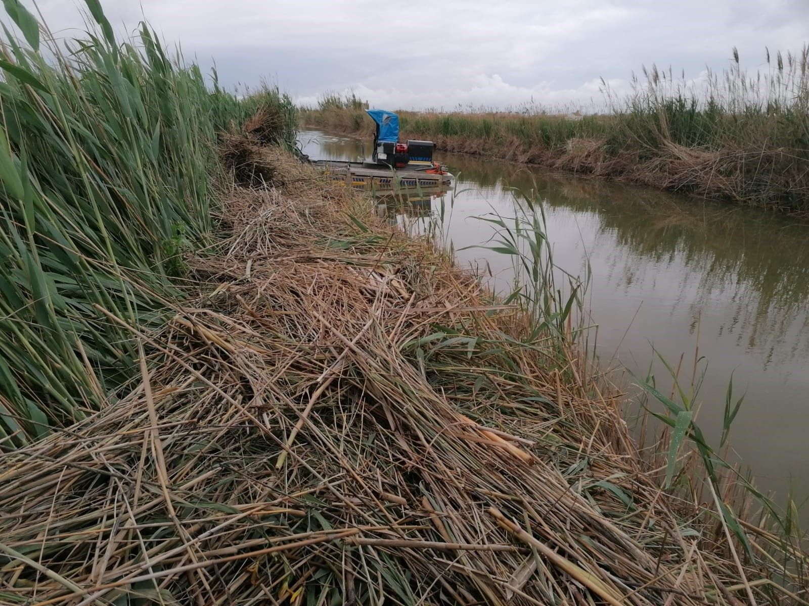 Estrangulan y tiran a una acequia a tres mujeres en la Comunidad Valenciana