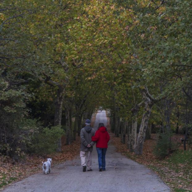5 lugares fantásticos para hacer picnic cerca de Madrid. Bosque de La Herrería Foto: Patrimonio Nacional