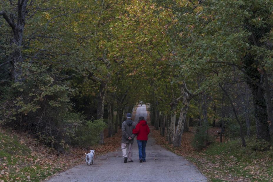 5 lugares fantásticos para hacer picnic cerca de Madrid. Bosque de La Herrería Foto: Patrimonio Nacional