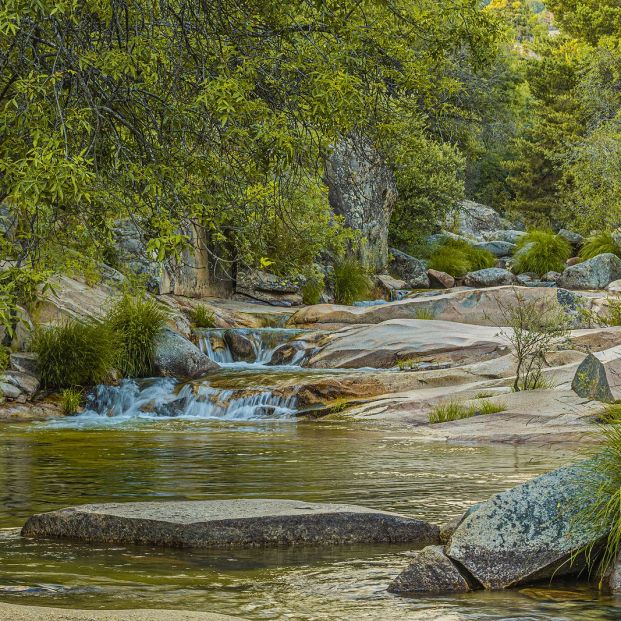 5 lugares fantásticos para hacer picnic cerca de Madrid Foto: bigstock